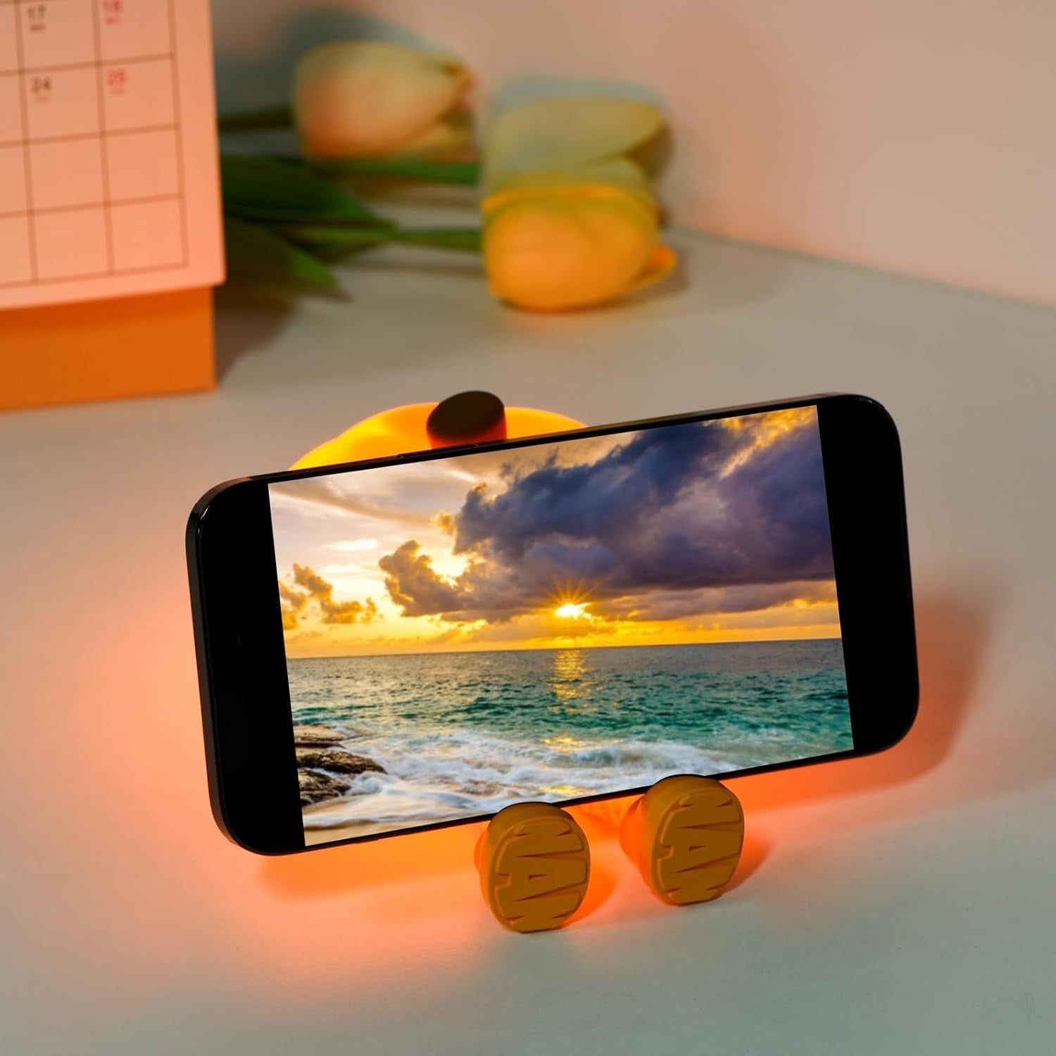 Pumpkin Night Light-SR